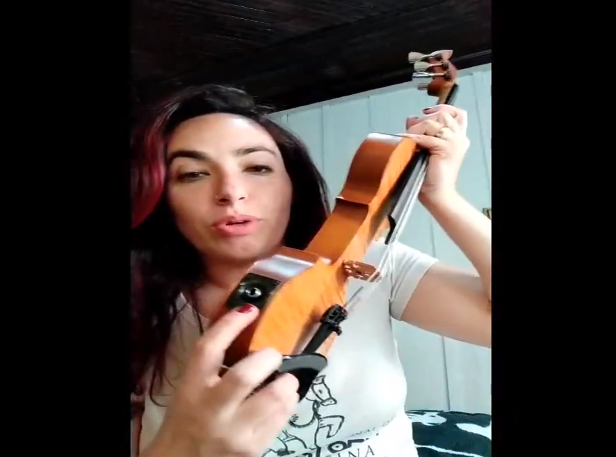 Aula sobre Violino e a Família das Cordas Friccionadas