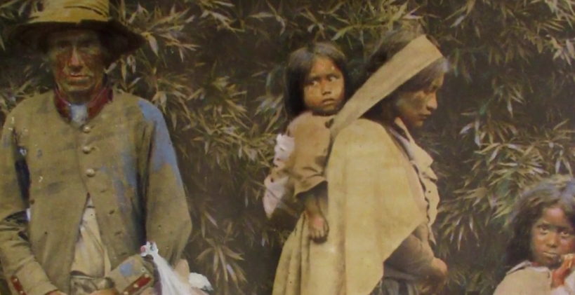 Apresentação | Exposição Eu Memória, Eu Floresta: História Oculta