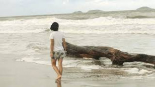 pessoa virada de costas para a camera, ao fundo o mar um tronco de árvore derrubada aparece na areia