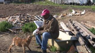 homem em um aparente terreno baldio dá leite para um animal