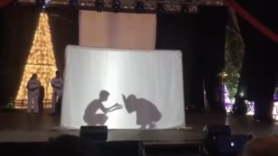 Capoeira Muzenza