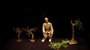 O Pássaro Azul - Teatro de Animação