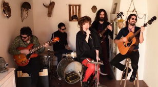 Macaco Evoluído do Século XXI