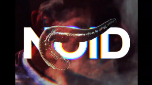 Noid - Leech