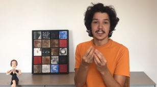 A Manipulação do Cão Vadio