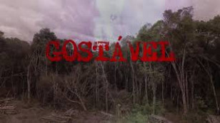 Gostável - Estrela Leminski e Téo Ruiz