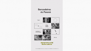 MAPEAMENTO SOCIAL DAS BENZEDEIRAS | Benzedeiras do Paraná: Mulheres de Fé