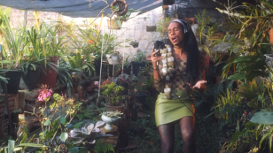 SIAMESE - Live no Jardim