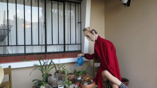 Um dia de Boneco