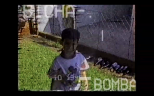 Bicha-bomba