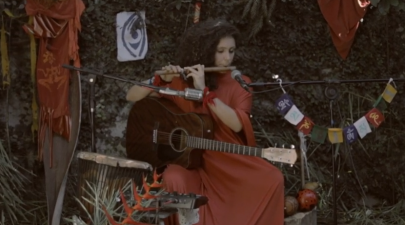 Floresta Paraná Cultura